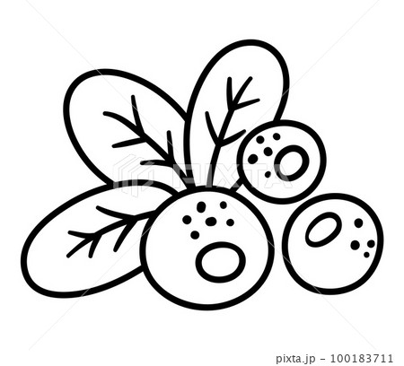 Vector black and white cranberry. Outline autumn woodland berry. Forest food icon or coloring page isolated on white background. 100183711