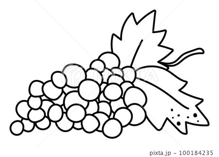Vector black and white grapes with leaves. Autumn fruit line icon. Funny outline grape wine illustration isolated on white background. Garden or farm harvest clipart 100184235