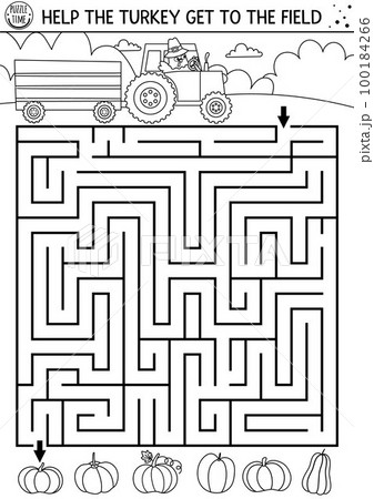 Thanksgiving Day black and white maze for children. Autumn holiday line printable activity. Fall outline labyrinth game or puzzle with cute bird driving a tractor. Help turkey get to the field 100184266