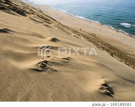 鳥取砂丘 馬の背からの景色 鳥取砂丘 馬の背からの景色 100189581