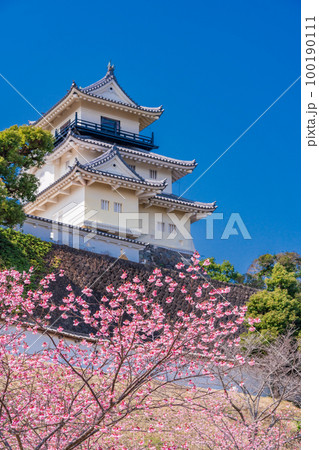 （静岡県）カケガワザクラ(掛川桜)越しの掛川城 100190111