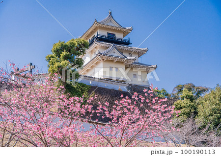 （静岡県）カケガワザクラ(掛川桜)越しの掛川城 100190113