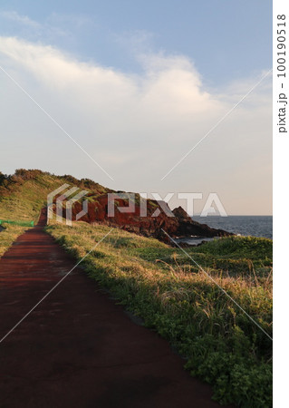 伊豆大島　サンセットパームライン 100190518