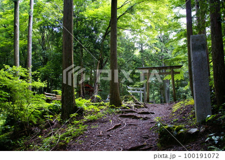 熊野古道・発心門王子 100191072