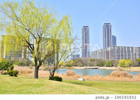 福岡アイランドシティ春風景 アイランドシティ中央公園 柳の新緑が美しいアイランドシティ 福岡アイランドシティ春風景 アイランドシティ中央公園 柳の新緑が美しいアイランドシティ 100191932