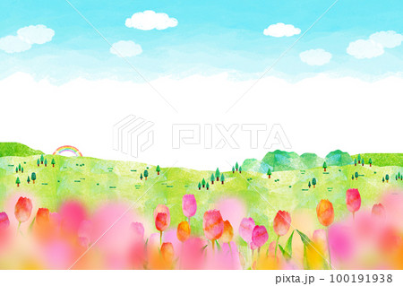 チューリップ畑　背景素材 100191938