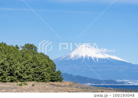静岡県静岡市（三保の松原）から望む快晴の富士山 100193048