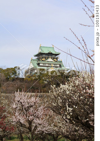 大阪城公園の梅林、盛りなり、大阪城にある梅林は今日もにぎわう。3月初旬のこと、梅、大阪城、 100193433