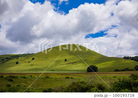Landscapes  100193716