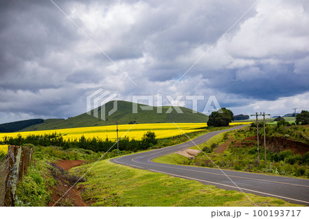 Landscapes  100193717