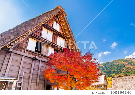白川郷 紅葉に染まる合掌作りの民家 白川郷 紅葉に染まる合掌作りの民家 100194146