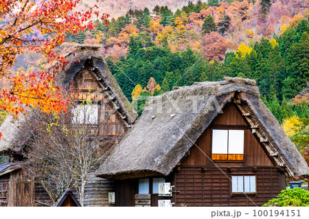 白川郷　紅葉に染まる合掌作りの民家 100194151