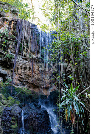 Nature Nature 100194877