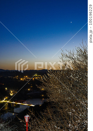 2023年春3月早春の月ヶ瀬梅渓　日没から星空まで　一番星が輝きだした夕焼け空と白梅③ 100196229
