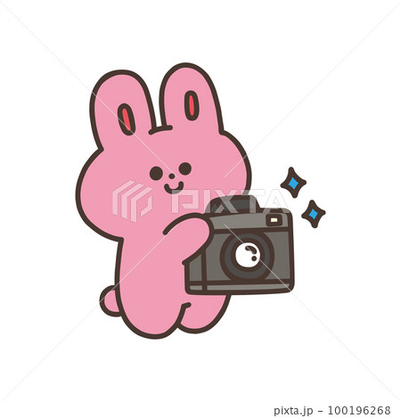 カメラを持ったかわいいウサギのイラスト 100196268