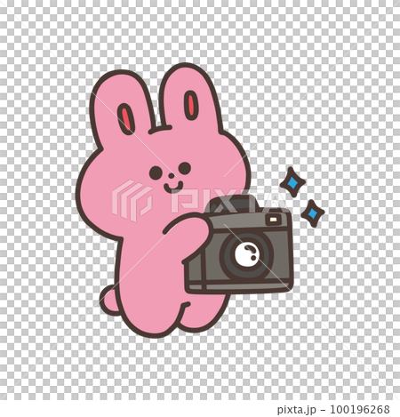 カメラを持ったかわいいウサギのイラスト 100196268