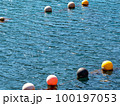 ブイと海 ブイと海 100197053