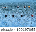 ブイの浮く海 ブイの浮く海 100197065