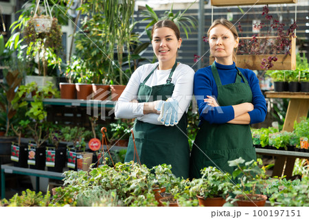 in flower store, women seller wait for customers to help pick up undemanding plant 100197151