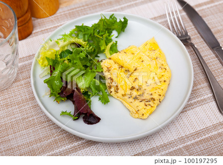 Omelet and arugula on a white plate. Delicious breakfast Omelet and arugula on a white plate. Delicious breakfast 100197295