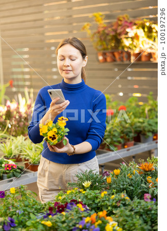 flower shop visitor scans qr code to find out name of plant. 100197296