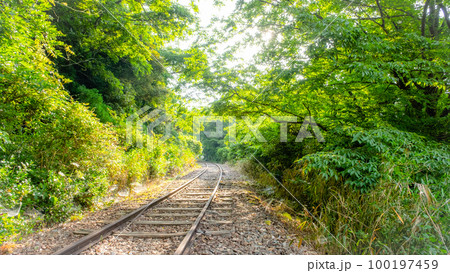廃線跡散歩 新緑(旧国鉄倉吉線) 廃線跡散歩 新緑(旧国鉄倉吉線) 100197459