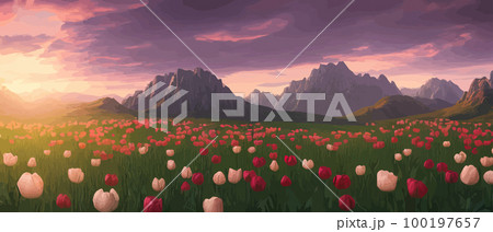 A field of tulips against the backdrop of mountains. Spring banner vector illustration. huge field of colorful tulips. Behind the field is a mountain range. Sunset. clouds of orange 100197657