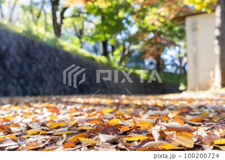 松戸運動公園 松戸運動公園 100200724