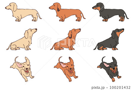 ダックスフンド　イラスト 100201432