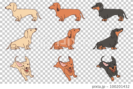 ダックスフンド　イラスト 100201432