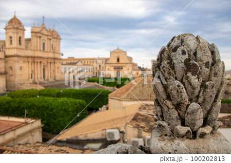 Pine cone at Noto 100202813