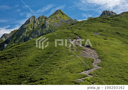 北アルプス・西穂高岳・丸山付近から見る西穂独標とピラミッドピーク 100203162
