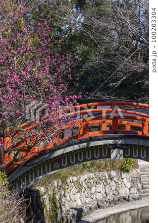 京都 下鴨神社 光琳の梅と輪橋 京都 下鴨神社 光琳の梅と輪橋 100203304