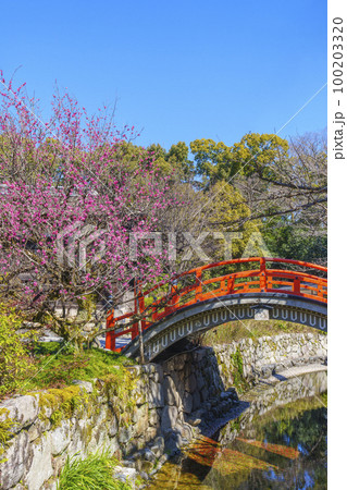 京都　下鴨神社　光琳の梅と輪橋 100203320