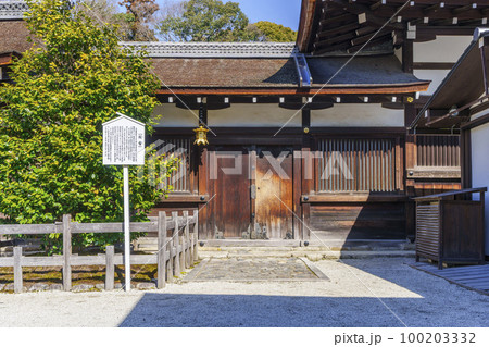 京都 下鴨神社 疑雪(白玉椿) 京都 下鴨神社 疑雪(白玉椿) 100203332