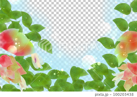 蝦草卡2 蝦草卡2 100203438