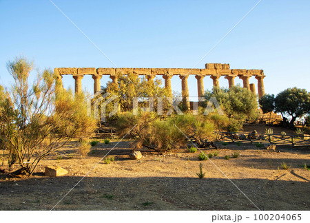 Valley of temples 100204065