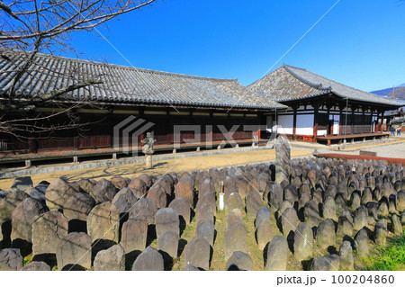 【奈良県】晴天の元興寺の極楽坊本堂と禅室 100204860