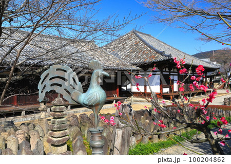 【奈良県】梅が咲く元興寺の極楽坊本堂と禅室 【奈良県】梅が咲く元興寺の極楽坊本堂と禅室 100204862