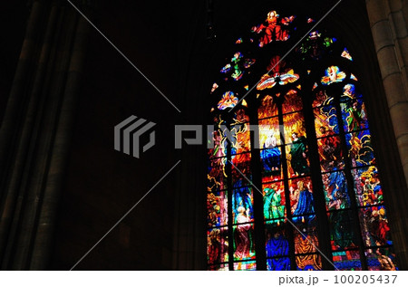 聖ヴィート大聖堂の内観 100205437