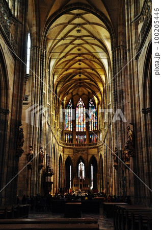聖ヴィート大聖堂の内観 100205446