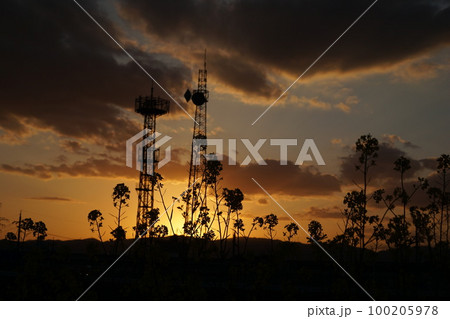 鉄塔と菜の花 鉄塔と菜の花 100205978