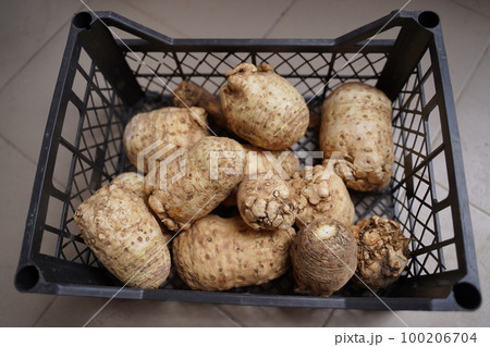 Celery roots in the box close-up, top view 100206704