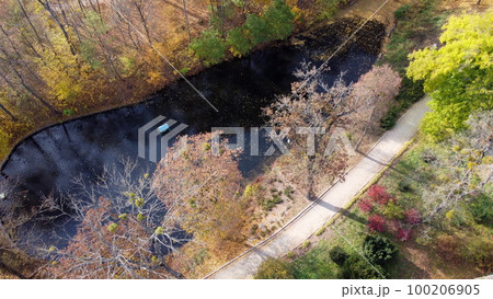 Flying over autumn park. Many trees with yellow green and fallen leaves, lakes in park on sunny autumn day. Top view. Aerial drone view. Beautiful natural background Flying over autumn park. Many trees with yellow green and fallen leaves, lakes in park on sunny autumn day. Top view. Aerial drone view. Beautiful natural background 100206905