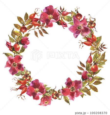 Watercolor rose hip wreath. Flowers, leaves and fruits of wild roses. Watercolor illustration isolated on white background. 100208370