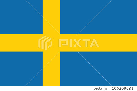 Sweden national official flag symbol, banner vector illustration.  100209031