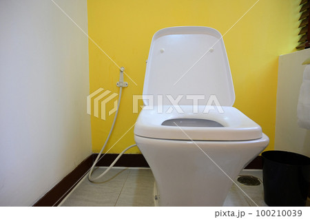white flush toilet in yellow wall room, interior design white flush toilet in yellow wall room, interior design 100210039