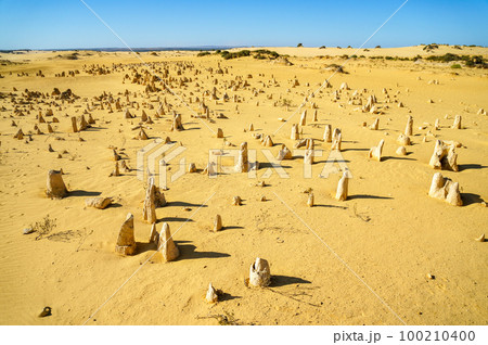 ピナクルズの奇岩が広がる神秘的な風景 100210400