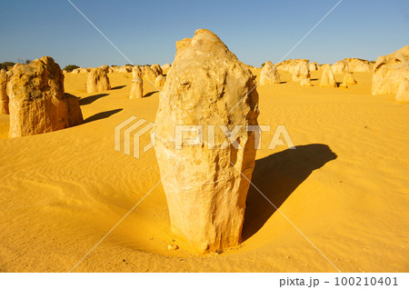 ピナクルズの立派な石灰岩 100210401