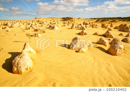 奇岩が並ぶピナクルズの風景 100210402